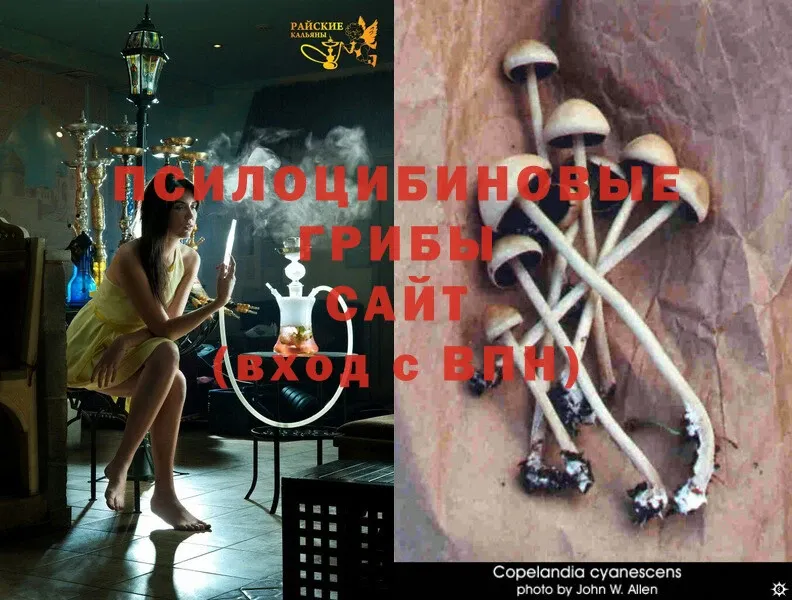 сайты даркнета состав  Лакинск  Галлюциногенные грибы MAGIC MUSHROOMS  наркота 